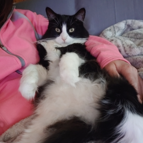 Lazy TV day๐๐บ ๐ - Picture 6 of 16